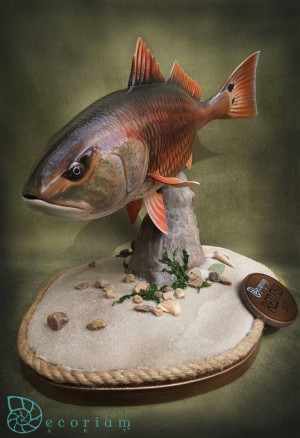 RED FISH — «ТРОФЕЙ», exmix